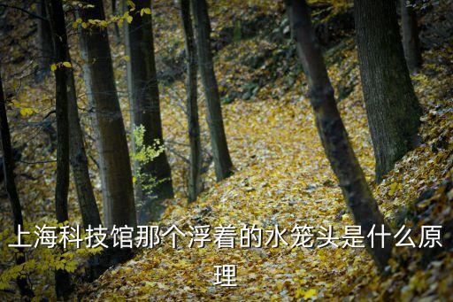 上?？萍拣^那個(gè)浮著的水籠頭是什么原理