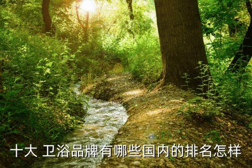十大 衛(wèi)浴品牌有哪些國(guó)內(nèi)的排名怎樣