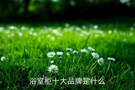 帝王潔具陶瓷衛(wèi)浴柜圖片,九牧衛(wèi)浴和帝王潔具哪個好