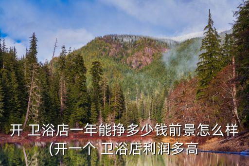 開 衛(wèi)浴店一年能掙多少錢前景怎么樣(開一個(gè) 衛(wèi)浴店利潤多高
