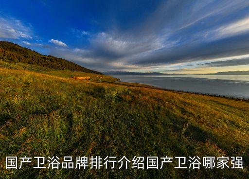 線下小品牌衛(wèi)浴店有哪些
