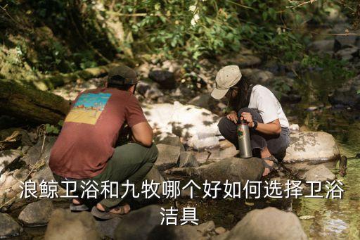  浪鯨衛(wèi)浴和九牧哪個好如何選擇衛(wèi)浴潔具