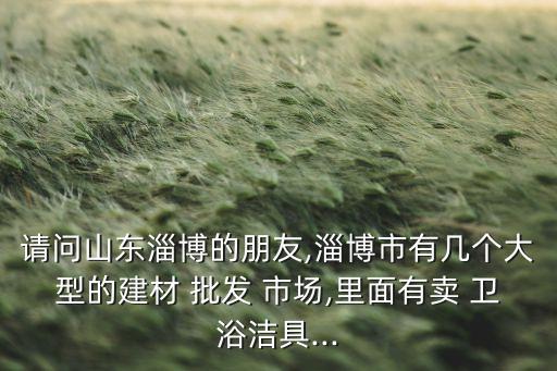 請(qǐng)問(wèn)山東淄博的朋友,淄博市有幾個(gè)大型的建材 批發(fā) 市場(chǎng),里面有賣(mài) 衛(wèi)浴潔具...