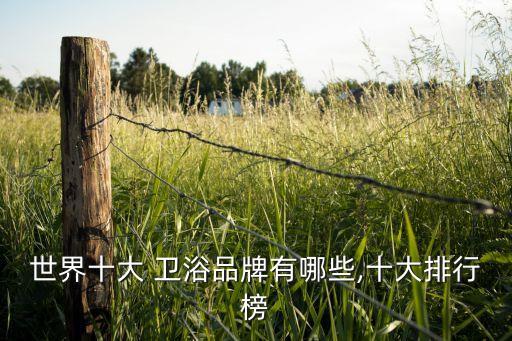 世界十大 衛(wèi)浴品牌有哪些,十大排行榜