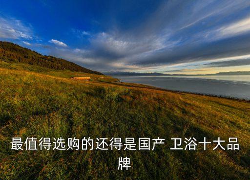 最值得選購的還得是國產(chǎn) 衛(wèi)浴十大品牌