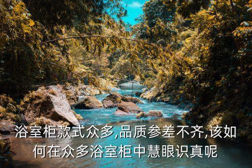 精裝房改造整體衛(wèi)浴柜圖片