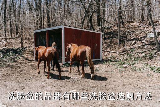 洗臉盆的品牌有哪些洗臉盆選購方法