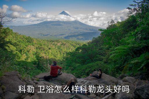 科勒 衛(wèi)浴怎么樣科勒龍頭好嗎