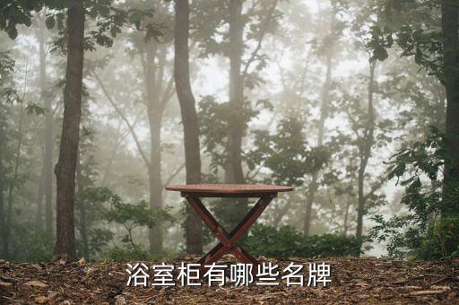 浴室柜有哪些名牌