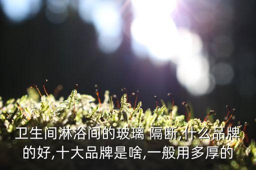衛(wèi)生間淋浴間的玻璃 隔斷,什么品牌的好,十大品牌是啥,一般用多厚的