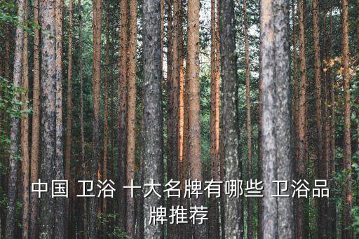 中國(guó) 衛(wèi)浴 十大名牌有哪些 衛(wèi)浴品牌推薦