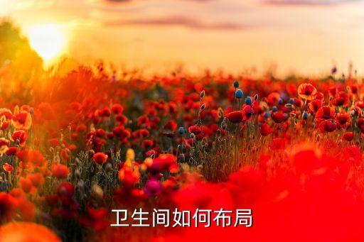 衛(wèi)生間如何布局