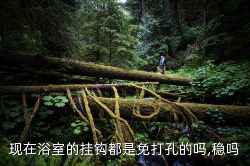 衛(wèi)浴掛件編織收納箱圖片