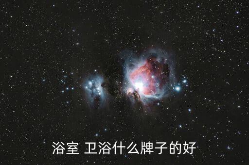 浴室 衛(wèi)浴什么牌子的好