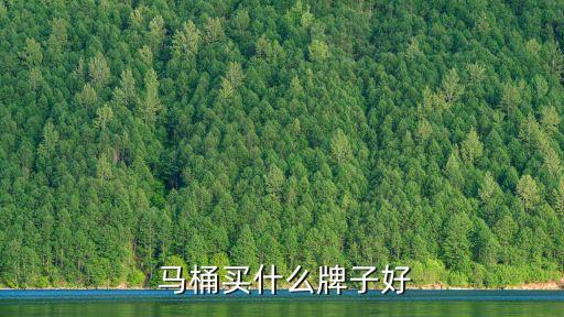  馬桶買什么牌子好