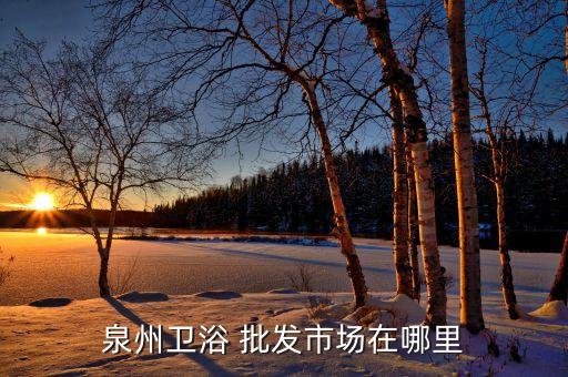 泉州衛(wèi)浴 批發(fā)市場在哪里