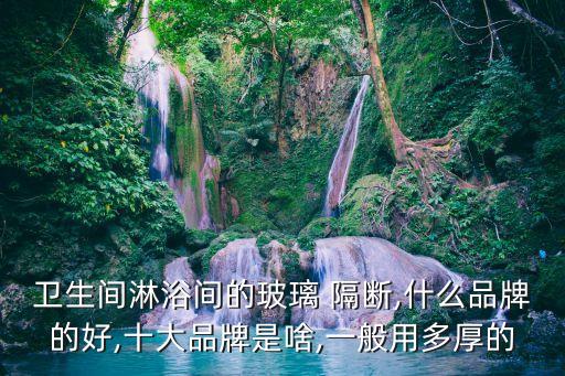 衛(wèi)生間淋浴間的玻璃 隔斷,什么品牌的好,十大品牌是啥,一般用多厚的