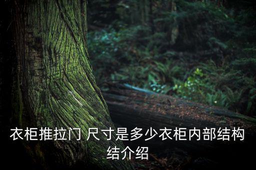 衣柜推拉門 尺寸是多少衣柜內(nèi)部結(jié)構(gòu)結(jié)介紹