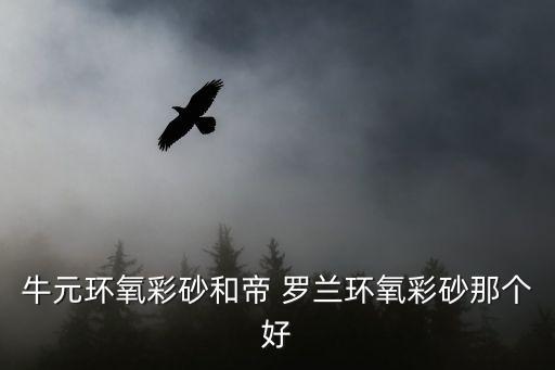 牛元環(huán)氧彩砂和帝 羅蘭環(huán)氧彩砂那個好