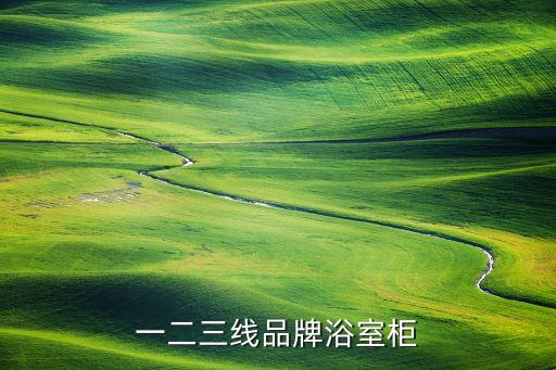 一二三線品牌浴室柜