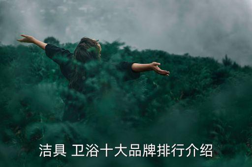 潔具 衛(wèi)浴十大品牌排行介紹