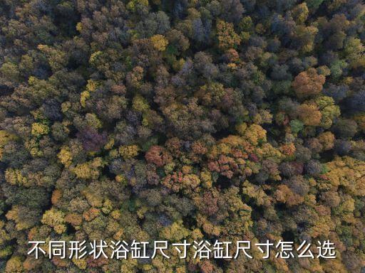 不同形狀浴缸尺寸浴缸尺寸怎么選