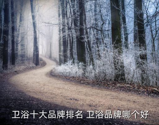 現(xiàn)在代理衛(wèi)浴品牌怎么樣,代理一個(gè)衛(wèi)浴品牌要投資多少