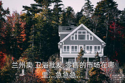 蘭州賣 衛(wèi)浴批發(fā),零售的市場在哪里...急急急...