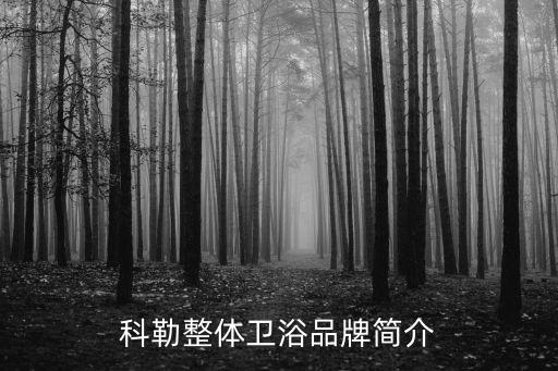 科勒整體衛(wèi)浴品牌簡(jiǎn)介