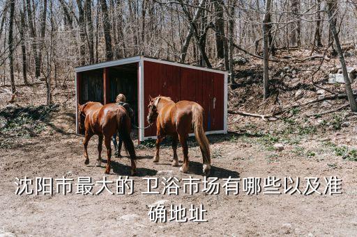 遼陽(yáng)紅星美凱龍衛(wèi)浴電話,紅星美凱龍衛(wèi)浴品牌有哪些