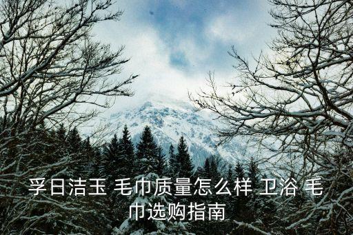 衛(wèi)浴毛巾品牌,中國十大衛(wèi)浴品牌有哪些