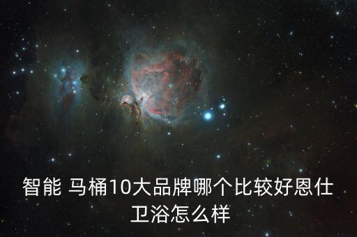 智能 馬桶10大品牌哪個比較好恩仕 衛(wèi)浴怎么樣