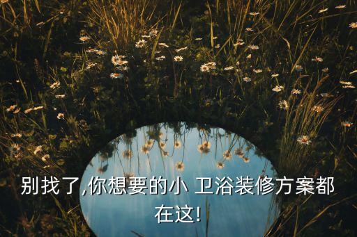 別找了,你想要的小 衛(wèi)浴裝修方案都在這!