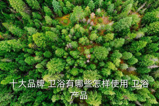 十大品牌 衛(wèi)浴有哪些怎樣使用 衛(wèi)浴產(chǎn)品