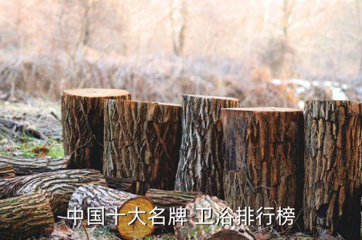 中國十大名牌 衛(wèi)浴排行榜