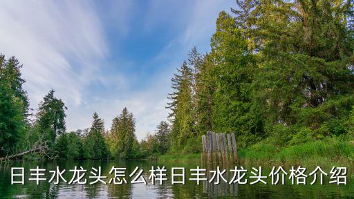 日豐衛(wèi)浴新款水池圖片大全