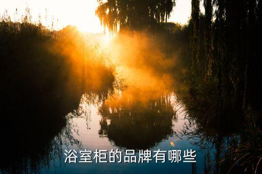 巴西風(fēng)格衛(wèi)浴柜圖片大全