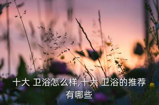 深圳衛(wèi)浴哪些品牌暢銷