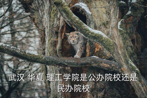 武漢 華夏 理工學(xué)院是公辦院校還是民辦院校