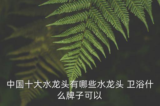 中國十大水龍頭有哪些水龍頭 衛(wèi)浴什么牌子可以