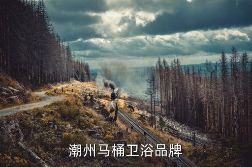 潮州馬桶衛(wèi)浴品牌