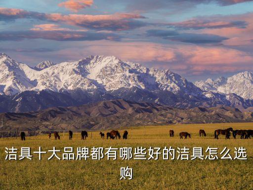 樂家衛(wèi)浴品牌歷史介紹圖,樂家集團(tuán)旗下衛(wèi)浴品牌