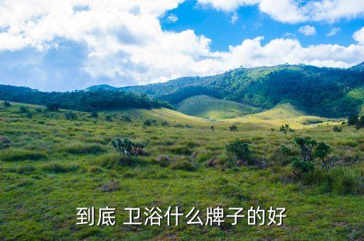 衛(wèi)浴品牌好在哪里,品牌衛(wèi)浴