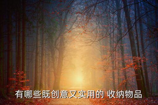 衛(wèi)浴收納好評語大全圖片,收納箱好評評語50字大全