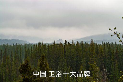 衛(wèi)浴啥品牌推薦一下好一點