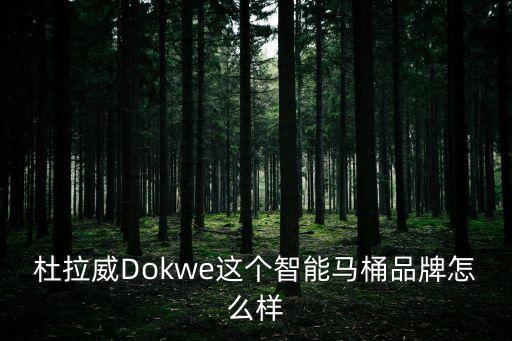 杜拉威Dokwe這個智能馬桶品牌怎么樣