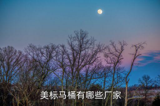 美標衛(wèi)浴柜品牌,和美標衛(wèi)浴同等的有哪些品牌