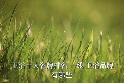  衛(wèi)浴十大名牌排名 一線 衛(wèi)浴品牌有哪些