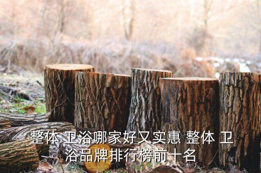  整體 衛(wèi)浴哪家好又實(shí)惠 整體 衛(wèi)浴品牌排行榜前十名
