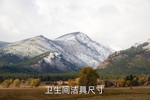 衛(wèi)浴大小怎么選擇的啊圖片
